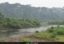 Gauhati High Court rules against coal mining in the Dehing Patkai forest